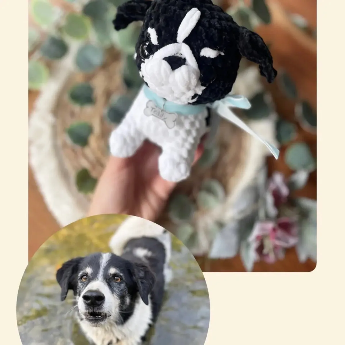 Gehäkeltes Hundeplüschi in Schwarz-Weiß mit hellblauem Halsband, in einer Hand gehalten, daneben Foto des echten Hundes als…