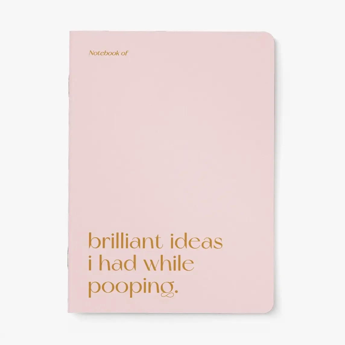 Notizheft DIN A5 mit rosa Umschlag, goldener Schrift „brilliant ideas i had while pooping