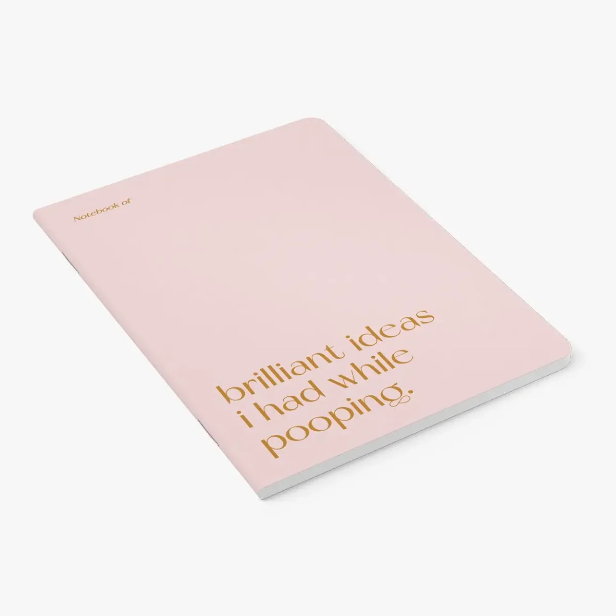 Rosa Notizheft DIN A5 mit goldenem Schriftzug „brilliant ideas i had while pooping