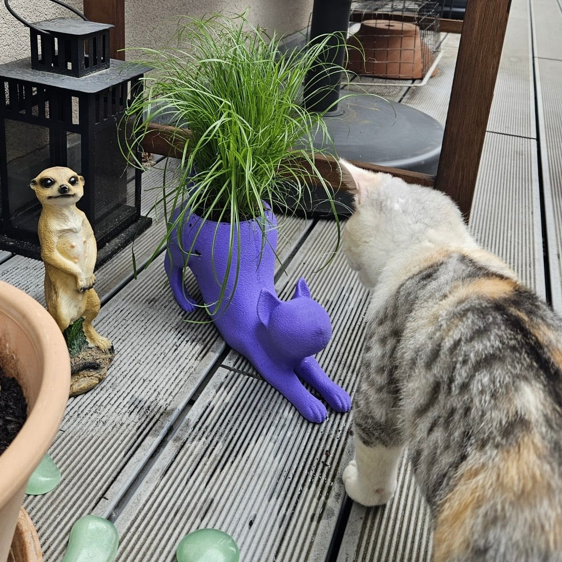 Violetter Katzentopf mit grüner Pflanze, von der Seite fotografiert, auf einer Terrasse zwischen echten Tieren.