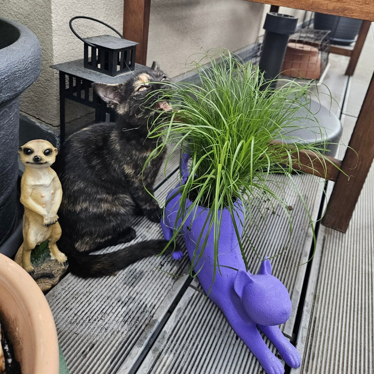 Katzen-Pflanzentopf “Lazy Cat” | Charmante Deko für dein Zuhause von Dreizack | 3D Druck — Ansicht 7