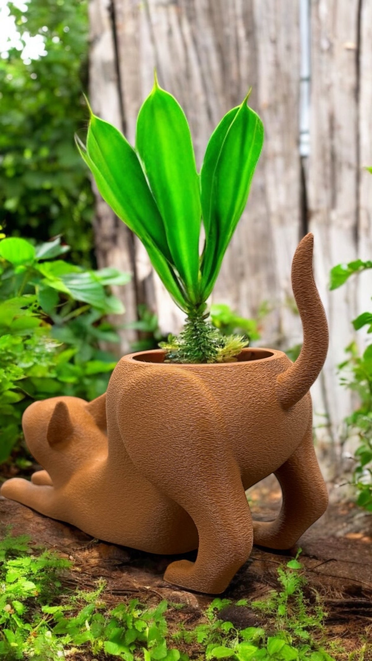 Katzen-Pflanzentopf „Lazy Cat“: 3D-gedruckt aus nachhaltigem PLA, individuell in Wunschfarbe erhältlich. Perfekt für Sukkulenten, Kräuter und Kakteen. Maße ca.