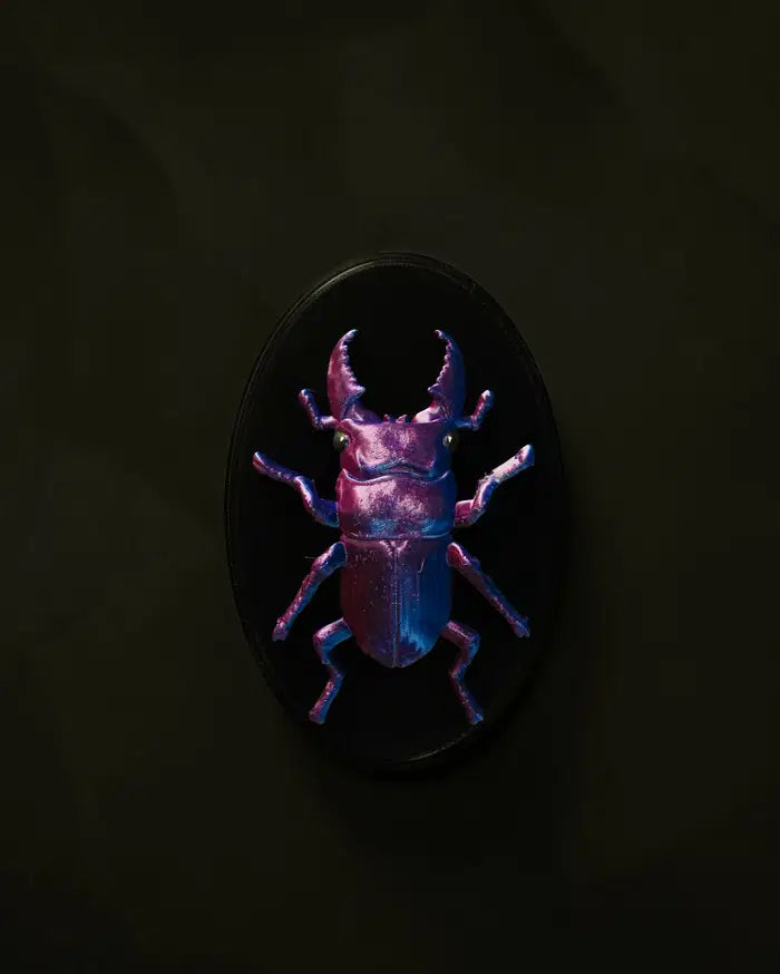 Hirschkäfer Wanddeko in Violett und Blau auf schwarzer ovaler Basis, frontal fotografiert vor dunklem Hintergrund
