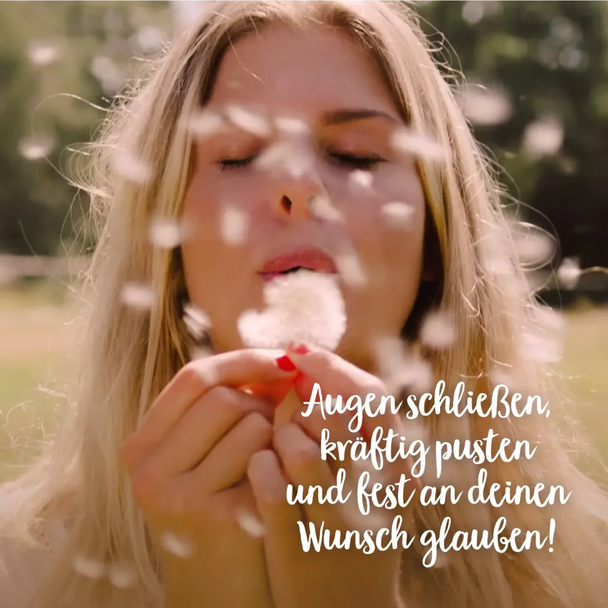 Noch zu beschreiben
