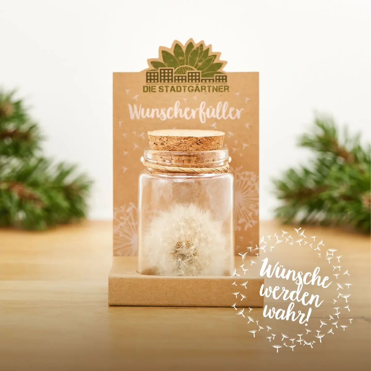 Klares Glas mit Korkdeckel gefüllt mit einer weißen Pusteblume, auf Kraftpapier-Verpackung mit Etikett „Wunscherfüller