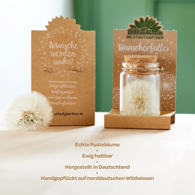 Pusteblume im Glas neben ihrer Kraftpapier-Verpackung mit Anleitung, vor grünem Hintergrund.