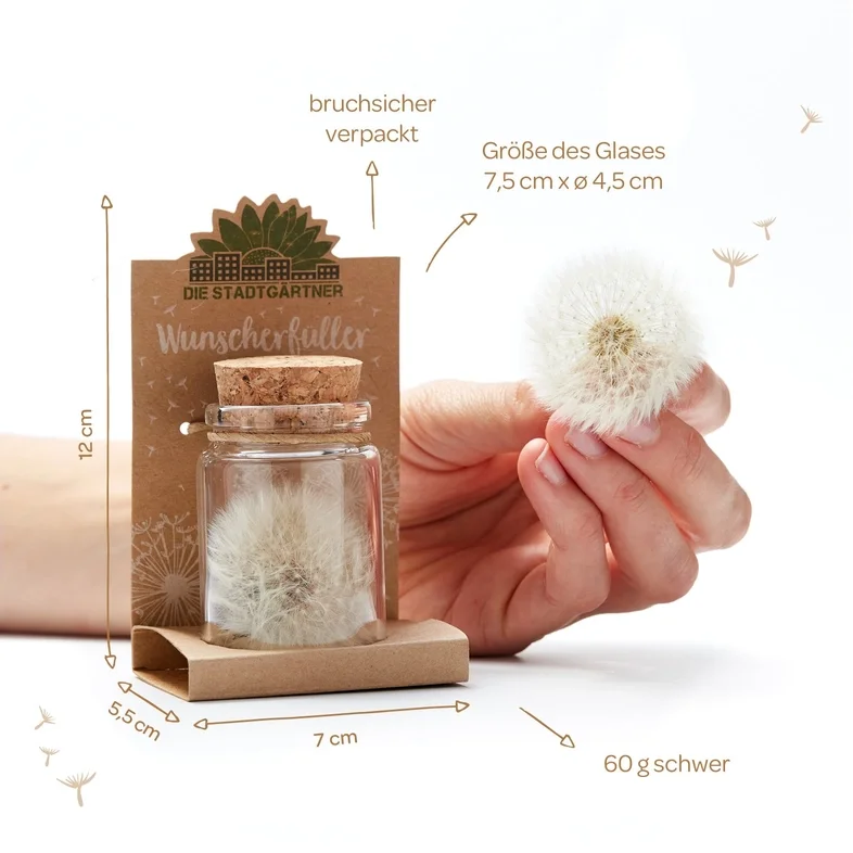 Hand hält kleines Glas mit echter Pusteblume, daneben braune Kraftpapier-Verpackung mit Korkdeckel, Größen- und…