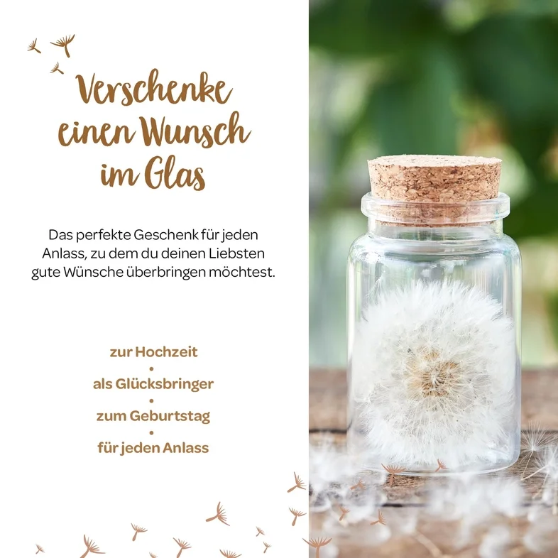 Echte weiße Pusteblume im kleinen Glas mit Korkverschluss und naturbrauner Kraftpapierverpackung (4)